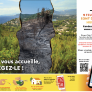 Feux de forêt et de végétation - Ville de Salernes